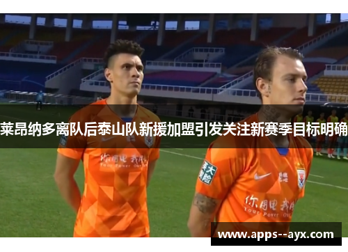 莱昂纳多离队后泰山队新援加盟引发关注新赛季目标明确
