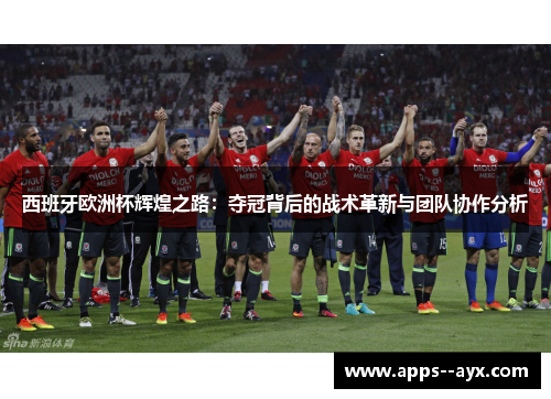 西班牙欧洲杯辉煌之路：夺冠背后的战术革新与团队协作分析
