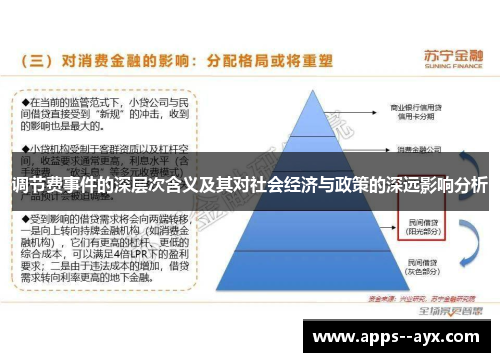 调节费事件的深层次含义及其对社会经济与政策的深远影响分析 调节费事件的深层次含义及其对社会经济与政策的深远影响分析