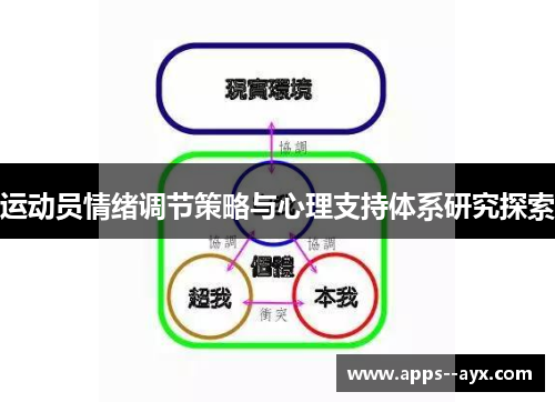 运动员情绪调节策略与心理支持体系研究探索