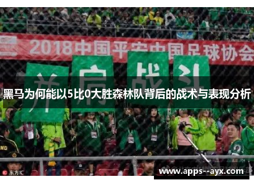 黑马为何能以5比0大胜森林队背后的战术与表现分析