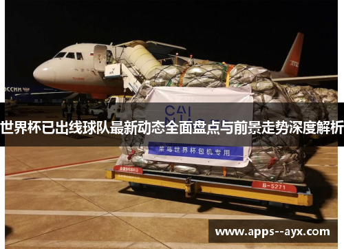 世界杯已出线球队最新动态全面盘点与前景走势深度解析